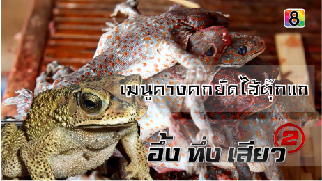 เปิบพิสดาร เมนูคางคกยัดไส้ตุ๊กแก !!