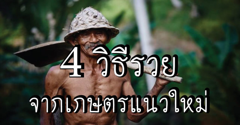 4 วิธีรวยจากเกษตรกรแนวใหม่ แหวกแนว ช้าหน่อย แต่รวยแน่!!