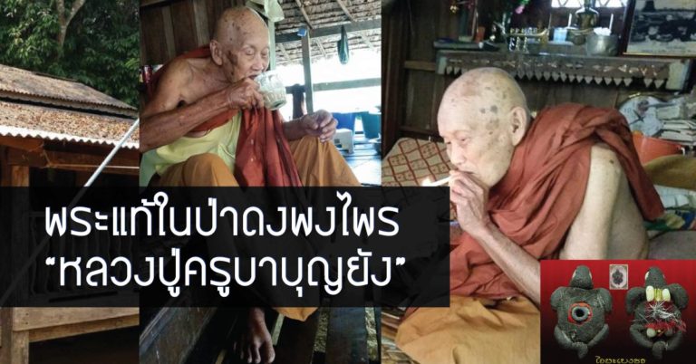 พระแท้ในป่าดงพงไพร!! “หลวงปู่ครูบาบุญยัง” อยู่อย่างสมถะในกุฏิไม้เรียบง่าย เคยร่วมธุดงค์กับหลวงปู่แหวน และหลวงปู่ตื้อ กราบสาธุ!!