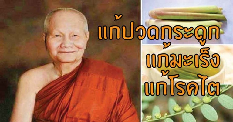 รวม 11 สูตรยาสมุนไพรหลวงพ่อจรัญ ฐิตธมฺโม แก้ปวดกระดูก แก้มะเร็ง โรคไต!