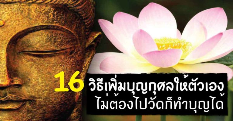 16 วิธีเพิ่มบุญให้ตัวเอง ทำได้ทุกที่ทุกเวลา ไม่ต้องไปวัดก็ทำบุญได้