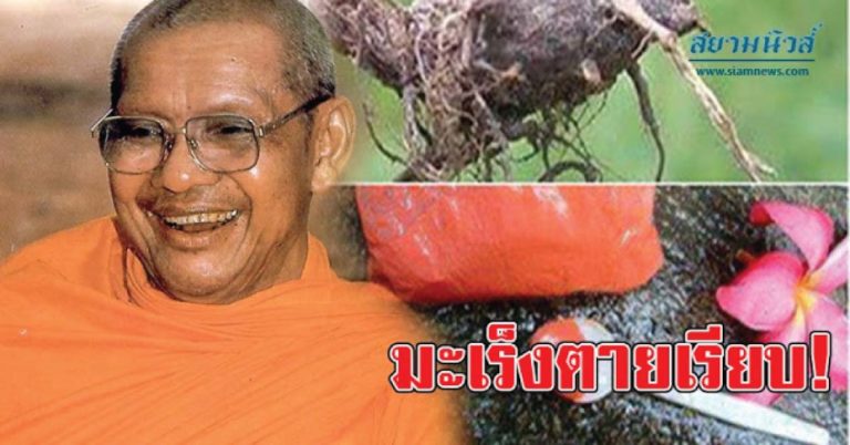 สูตรตำรายารักษามะเร็ง และเบาหวาน หลวงพ่อฤาษีลิงดำเมตตาบอกไว้ 1แชร์ 1ธรรมทาน!! (แชร์เก็บไว้เลย)