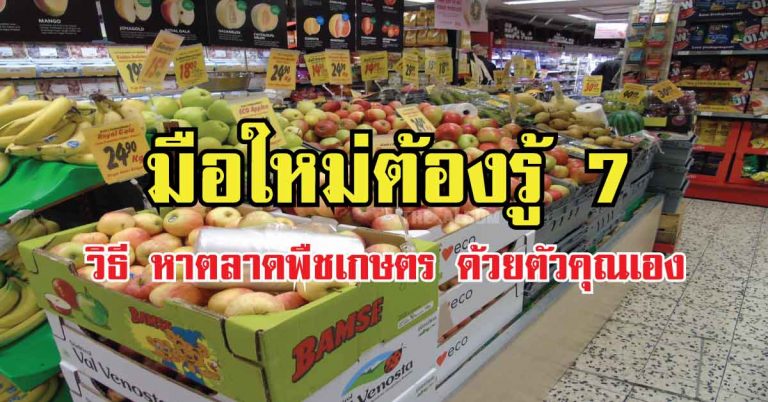 มือใหม่ต้องรู้ 7 วิธี หาตลาดพืชเกษตร ด้วยตัวคุณเอง