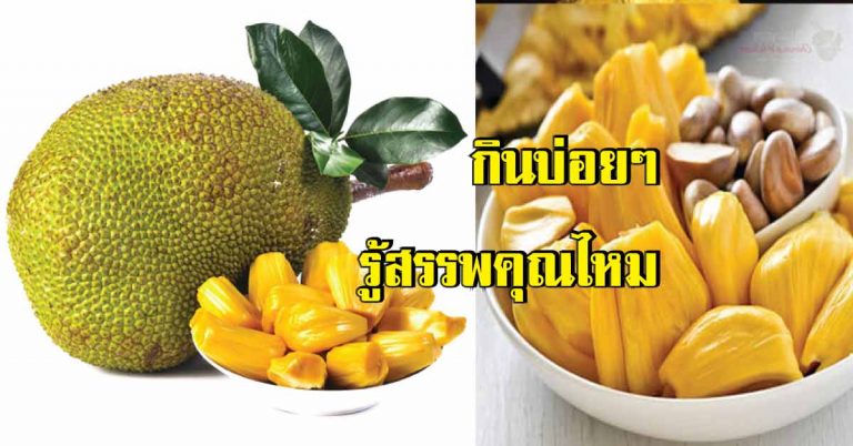 9 ประโยชน์ของขนุนที่เราไม่เคยรู้ กินป้องกันโรคนานาชนิด