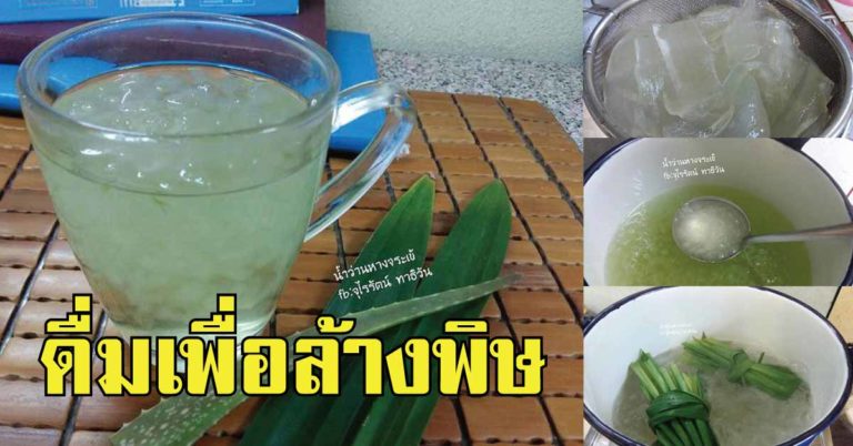 แจก 2 สูตร น้ำว่านหางจระเข้ เครื่องดื่มสมุนไพรสุดเฮลธ์ตี้ เคี้ยววุ้นเพลินๆ