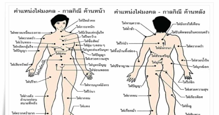 ทายนิสัยจากตำแหน่ง ไฝ-ขี้แมลงวัน บนร่างกายคุณ บอกเลยว่าแม่นจริงๆ!