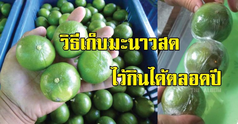 “วิธีเก็บมะนาวสด” ไว้กินได้ตลอดปี แค่ใช้เวลาไม่ถึง 5 นาทีเท่านั้น!