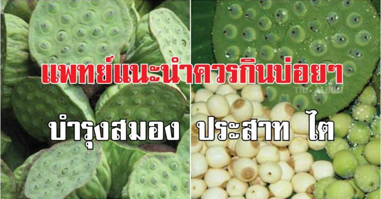 เม็ดบัว แพทย์แนะนำ กินได้ กินดี บำรุงสมอง ประสาท และไต ประโยชน์เพียบ