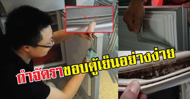 ขอบยางในตู้เย็น “เป็นรา” จัดการง่ายๆ ด้วยของใช้ในครัวแบบประหยัด!