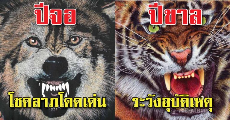 ดูดวงตามปีเกิด 12 นักษัตร การงาน เงิน ความรัก สุขภาพ เสริมดวง (แบบละเอียด)