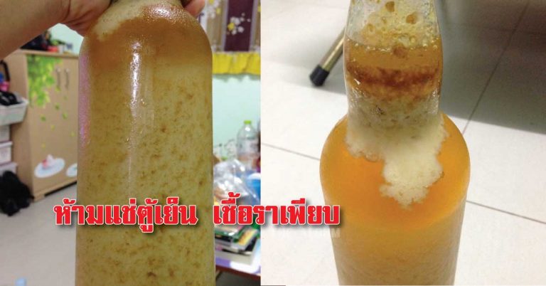 บอกไว้เลย!! 9 สิ่งที่ไม่ควรแช่เย็น ไม่อร่อย-เกิดเชื้อราเพียบ!!