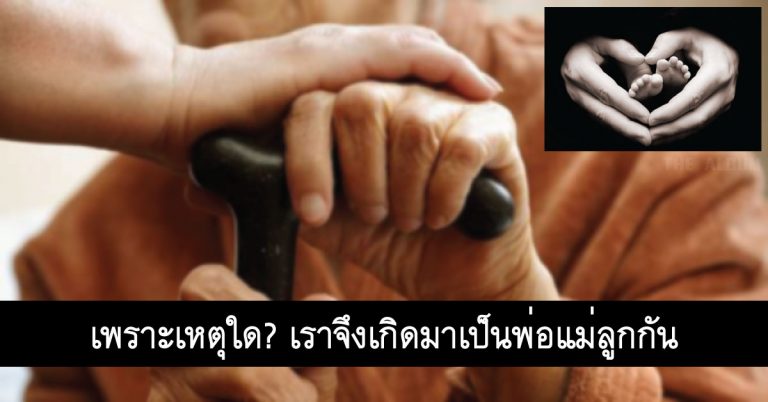 เพราะเหตุใด? เราจึงเกิดมาเป็นพ่อแม่ลูกกัน หาคำตอบกันได้ที่นี่..!!