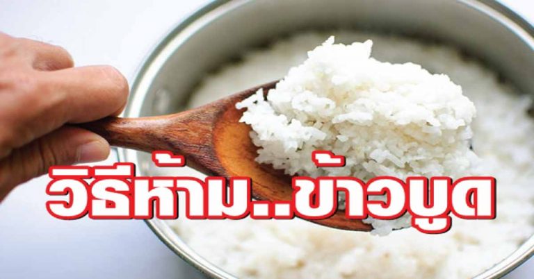 เคล็ดลับ 5 วิธี แก้ปัญหาข้าวบูดเร็ว ทำแล้วได้ผล 100%