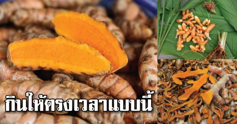 สูตรกิน “ขมิ้นชัน” ให้ตรงจุดตรงเวลา บำรุงสมอง หัวใจ ป้องกันความจำเสื่อม