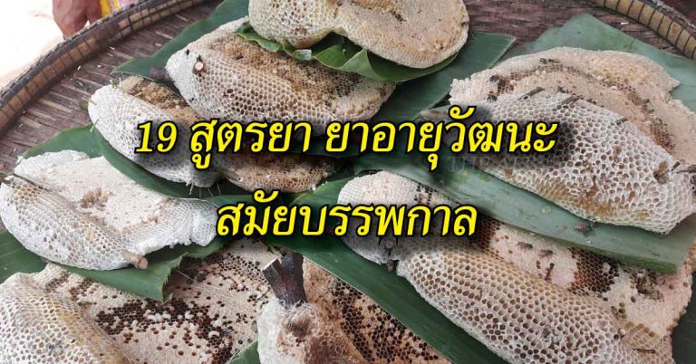 19 สูตรแค่ผสม น้ำผึ้ง กินกับสิ่งต่อไปนี้ รับลองว่าดีมากๆ ลดความอ้วนได้อีกด้วย