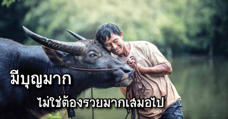 มีบุญมาก ไม่ใช่ต้องรวยมากเสมอไป 11 ประโยคที่คนมีบุญอ่านแล้วจะเข้าใจ