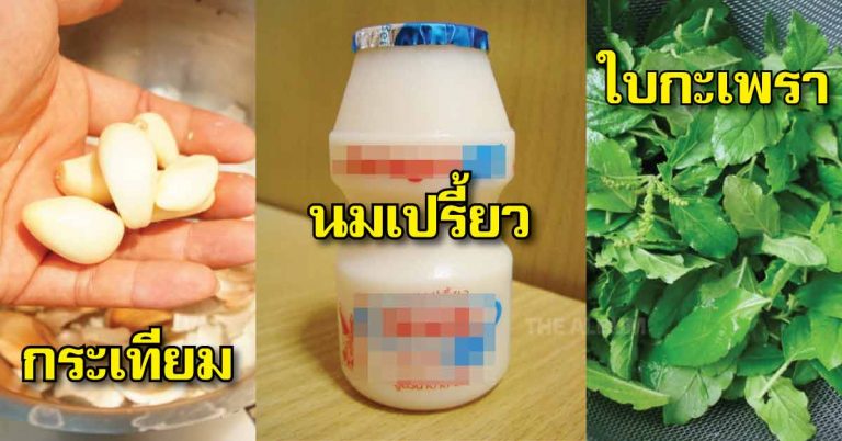 แนะนำ 5 สูตร พิชิตฝ้า กระแดด จุดด่างดำ สำหรับสาวงบน้อย !!