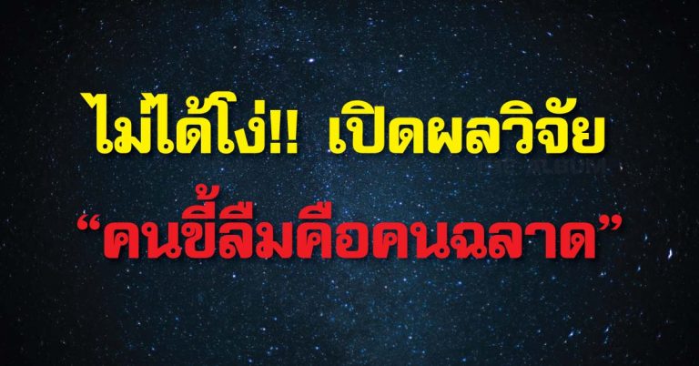 ไม่ได้โง่แค่ขี้ลืม!! เปิดผลวิจัย “คนขี้ลืมคือคนฉลาด” ทำไมเป็นเช่นนั้น เรามีคำตอบ!!