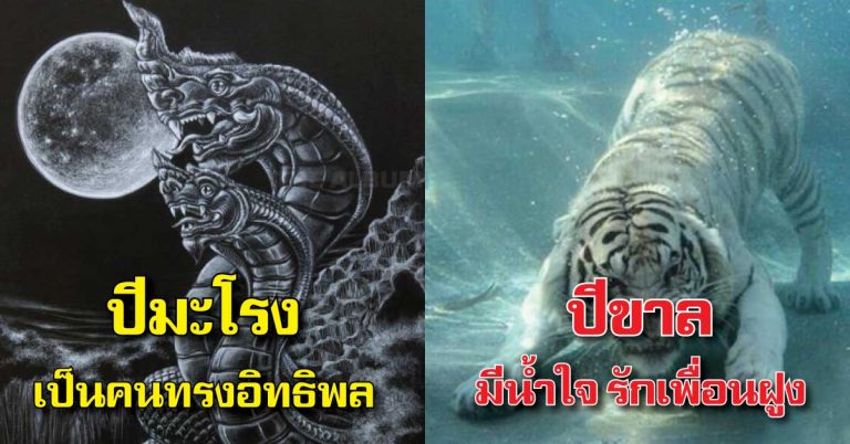 ไม่เชื่ออย่าลบหลู่!! เปิดตำราโบราณ ทำนายนิสัยจาก 12 นักษัตร (รายละเอียด)