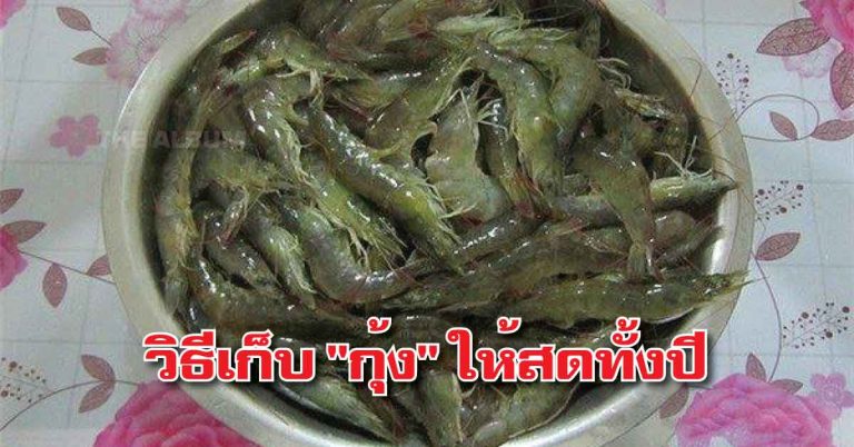 วิธีเก็บรักษาคุณภาพ “กุ้ง” ให้อยู่ได้ตลอดทั้งปี วิธีง่ายมากๆ เด็กก็ทำได้!!!