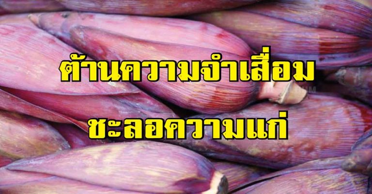 ผักพื้นบ้าน 12 ชนิด ต้านความจำเสื่อม ชะลอความแก่ บำรุงสมองได้