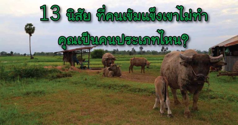 13 สิ่งที่คนจิตใจเข้มแข็งเขาไม่ทำกัน มีแต่คนอ่อนแอเท่านั้นที่ทำ