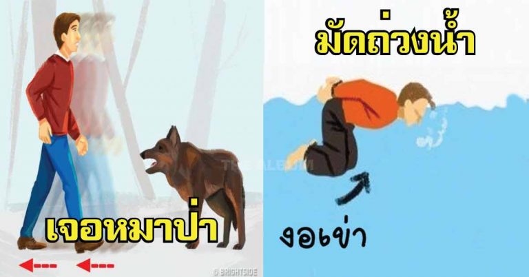 14 ข้อ “กฎการอยู่รอด” เวลาตกอยู่ในสถานการณ์อันเลวร้าย!!