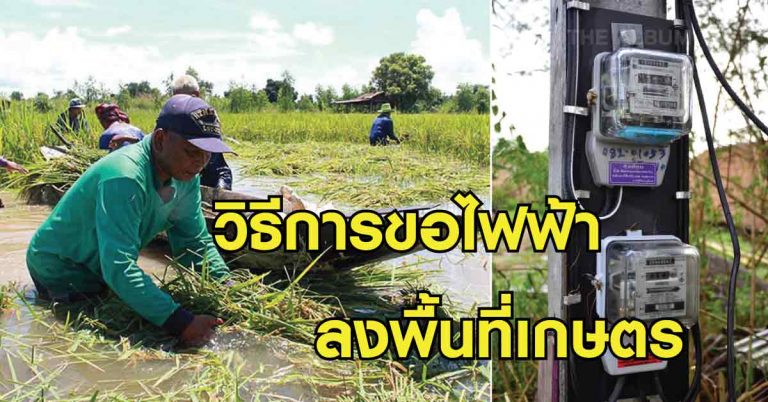 ไขข้อสงสัย!! ไฟเกษตร คืออะไร? วิธีการขอไฟฟ้าลงพื้นที่เกษตร