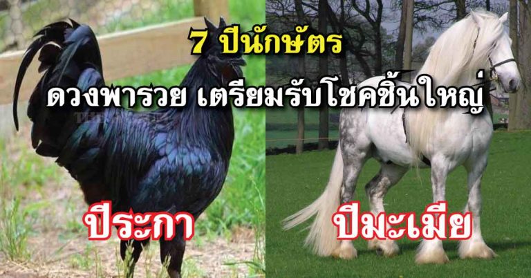 7 ปีนักษัตร ดวงพารวย บุญหนุนนำให้ช่วงนี้ ทำอะไรก็ดี มีความสุข