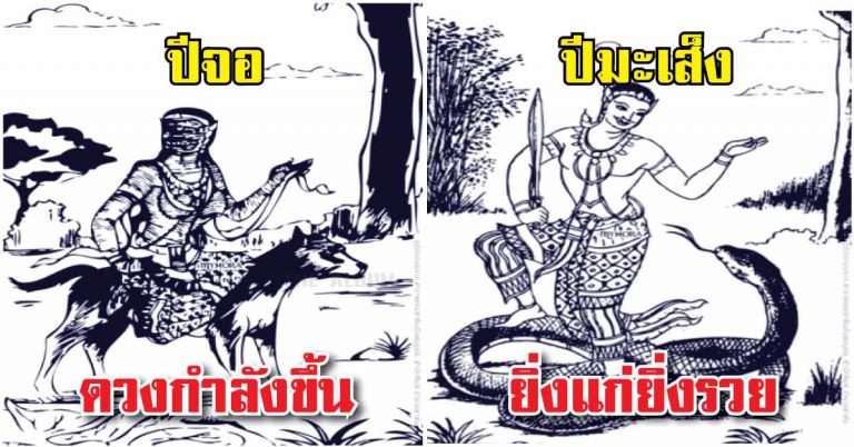 6 ปีนักษัตร ที่จะสุขสบาย ช่วงชีวิตจะค่อยๆดีขึ้น