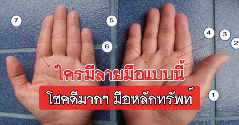 ทำนายดวงชะตาชีวิตว่าจะ รุ่ง หรือ ร่วง จากเส้นลายมือ!