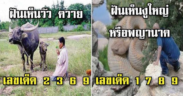 แชร์เก็บไว้เลย!! ทำนาย 28 ฝันเลขเด็ด ตามตำราโบราณ