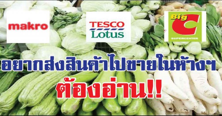 แชร์เก็บไว้เลย!! วิธีส่งผัก-ผลไม้ ไปขายในห้างสรรพสินค้า