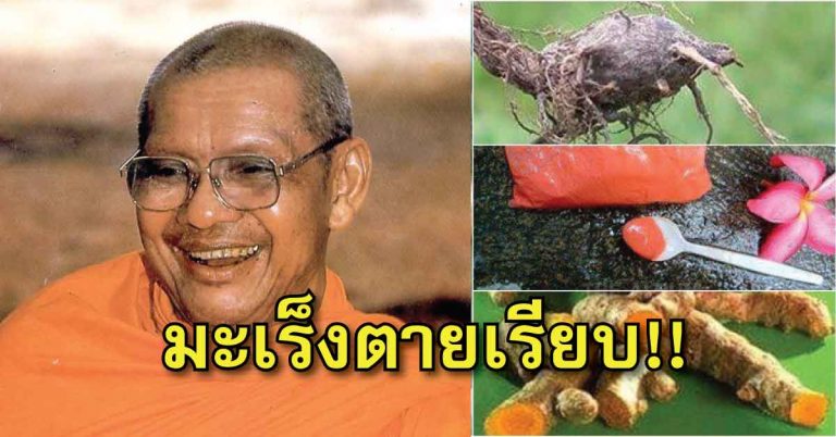 สูตรตำรายารักษามะเร็ง และเบาหวาน หลวงพ่อฤาษีลิงดำเมตตาบอกไว้