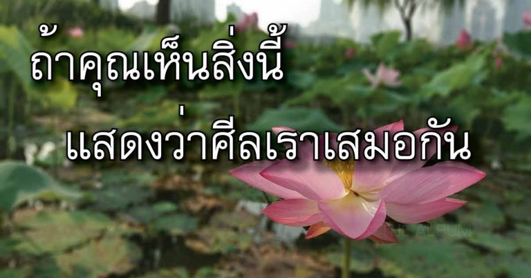 ถ้าคุณเห็นข้อความนี้ แสดงว่าศีลเราเสมอกัน เรื่องดีๆ อยากให้คุณอ่าน