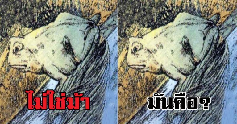 ฉลาดหรือโง่.. มาวัด 18 ภาพ “หลอกตา” ใครมองออก”โครตเก่ง”