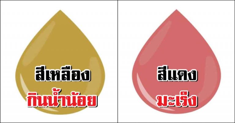 13 สีปัสสาวะบอก“โรคประจำตัว”อย่ามองข้าม! (เช็คเลย)