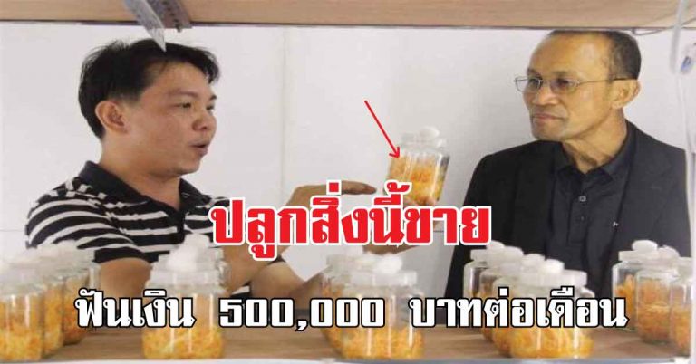 หนุ่มใต้เลิกเป็นลูกจ้าง เพื่อเลี้ยงสิ่งนี้ในขวดโหล ฟันรายได้ 500,000 บาทต่อเดือน!!!