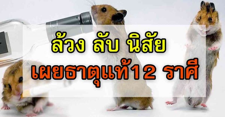 เผยธาตุแท้12 ราศี!! รู้ลึกถึงจิตใจ คำทำนายบอกหมด!