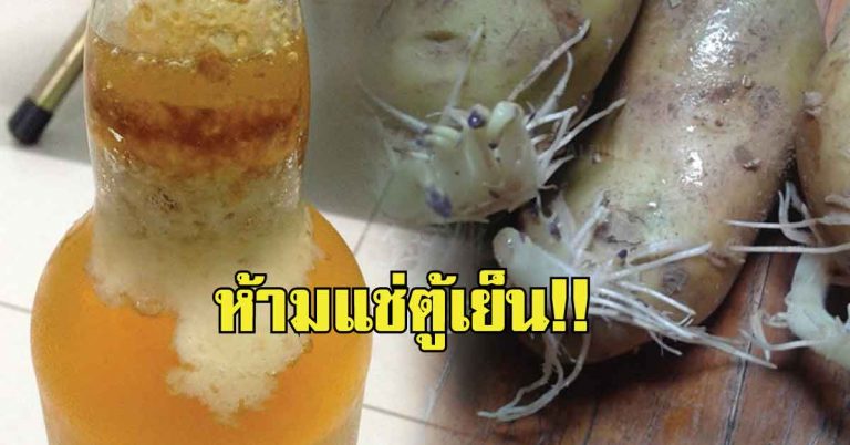 9 สิ่งไม่ควรแช่เย็น ไม่อร่อย-เหม็น-เชื้อราเพียบ!!