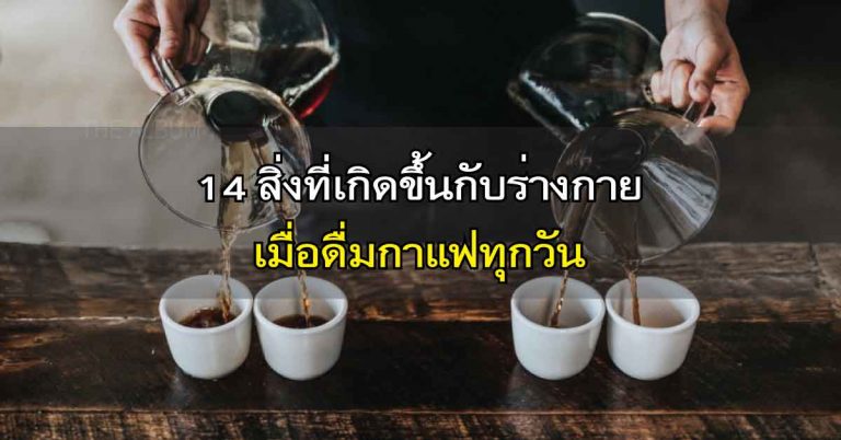 14 สิ่ง ที่เกิดขึ้นกับร่างกาย หลัง “ดื่มกาแฟ” ทุกวัน เกิดสิ่งมหัศจรรย์ต่อร่างกาย ใครที่ชอบดื่มต้องรู้ไว้เลย