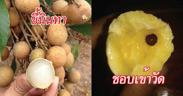 แม่นจริง ไรจริง!! ทำนาย “นิสัยลึกๆ” จาก ”ผลไม้” ที่ชอบทาน!!