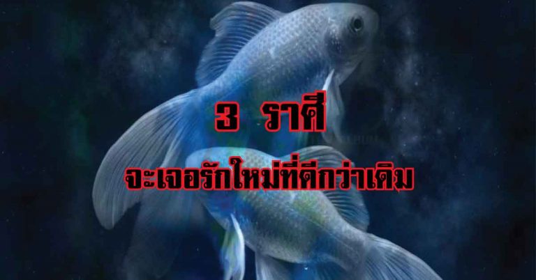 เผย 3 ราศีที่มี “ดวงความรัก” จะเจอรักใหม่ที่ดีกว่าเดิม