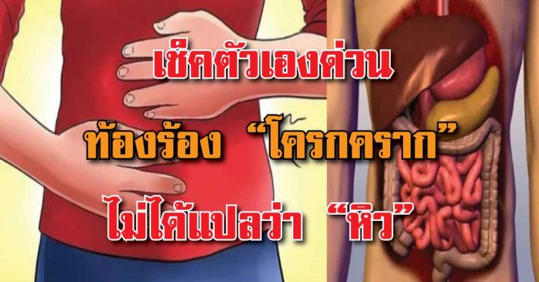 ท้องร้องโครกครากไม่ได้แปลว่า หิว แต่เป็น สัญญาณอันตราย