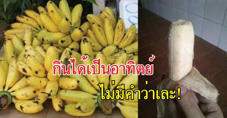 ซื้อมาทั้งหวีก็กินทัน!! วิธียืดอายุกล้วย ไม่ให้ดำ เละ กินไม่ทัน!!