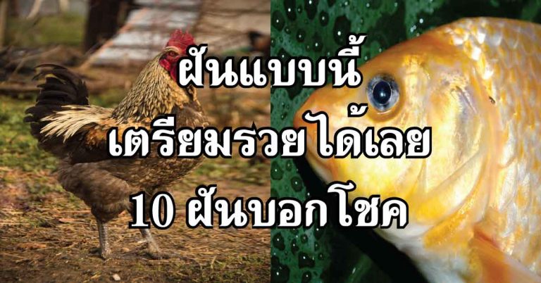 เตรียมรวยเป็นเศรษฐีได้เลย 10 ความฝันบอกโชค ถ้าฝันแบบนี้คุณเป็นผู้โชคดี