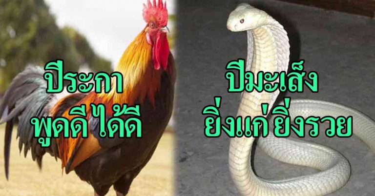 ผ่าดวง 6 นักษัตรที่ในปี 2561 ชีวิตสุขสบาย ราบรื่น พร้อมแนะเคล็ดลับเสริมโชคลาภ