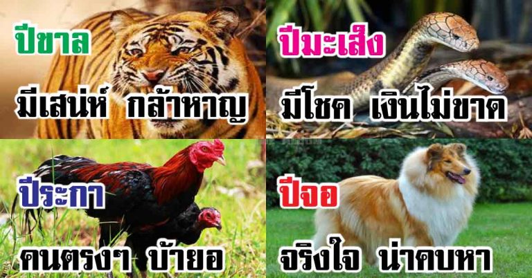 ทำนายดวงชะตาสัตว์ประจำปีเกิด เผยธาตุแท้ ของแต่ละคน