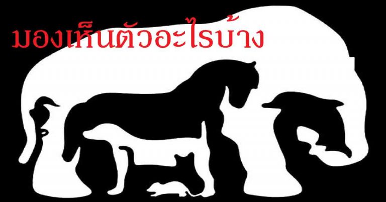 สัตว์ชนิดเแรกที่เห็นในภาพ บอกนิสัยได้อย่างแม่นยำ