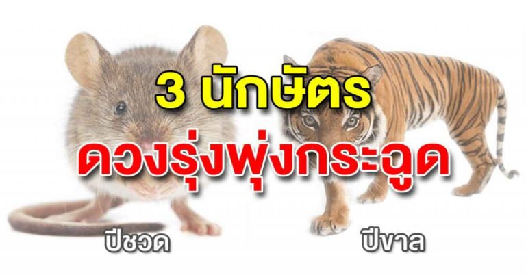 ดวงดีที่สุดใน3โลก!!! “3 นักษัตร” มีเกณฑ์ดวงรุ่งพุ่งกระฉูด โชคลาภพุ่งชน ได้รับทรัพย์ก้อนโต เงินทองไม่ขาดสาย ปี 61 รีบเช็คด่วนๆ!!!